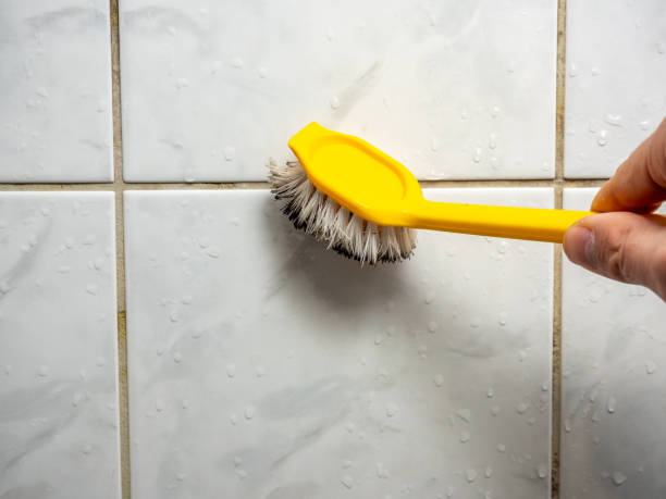 Best Mold Remediation Experts  in Escatawpa, MS
