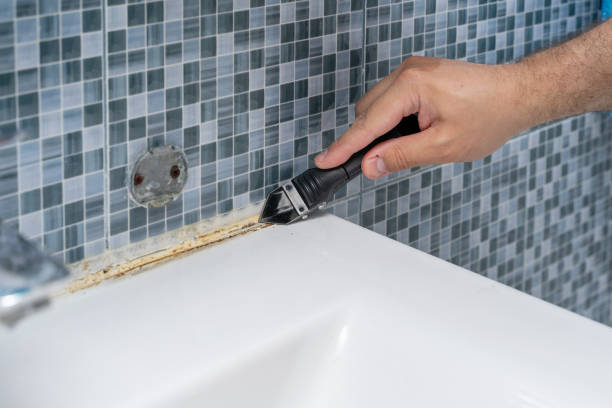 Best Affordable Mold Removal  in Escatawpa, MS